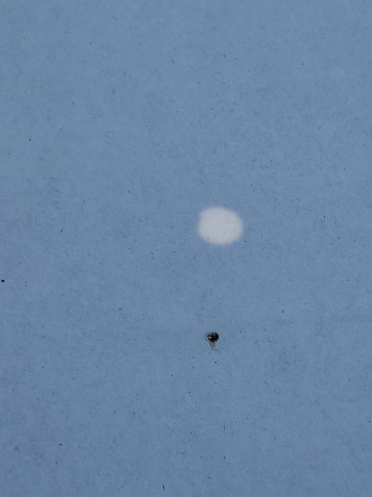 img_20210610_113734.jpg img_20210610_113734.jpg