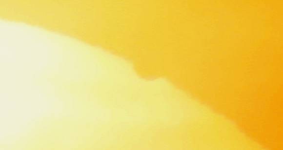 img_0229_detail.jpg img_0229_detail.jpg