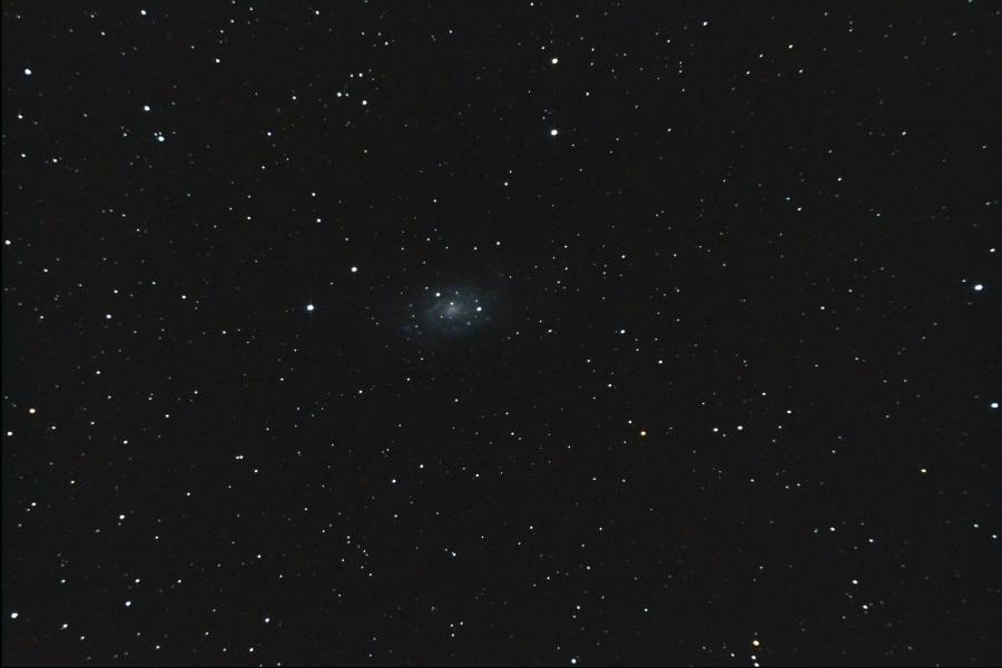 2017-04-22_michel_ngc2403.jpg 2017-04-22_michel_ngc2403.jpg