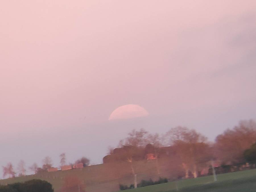 img_20241215_171250.jpg img_20241215_171250.jpg