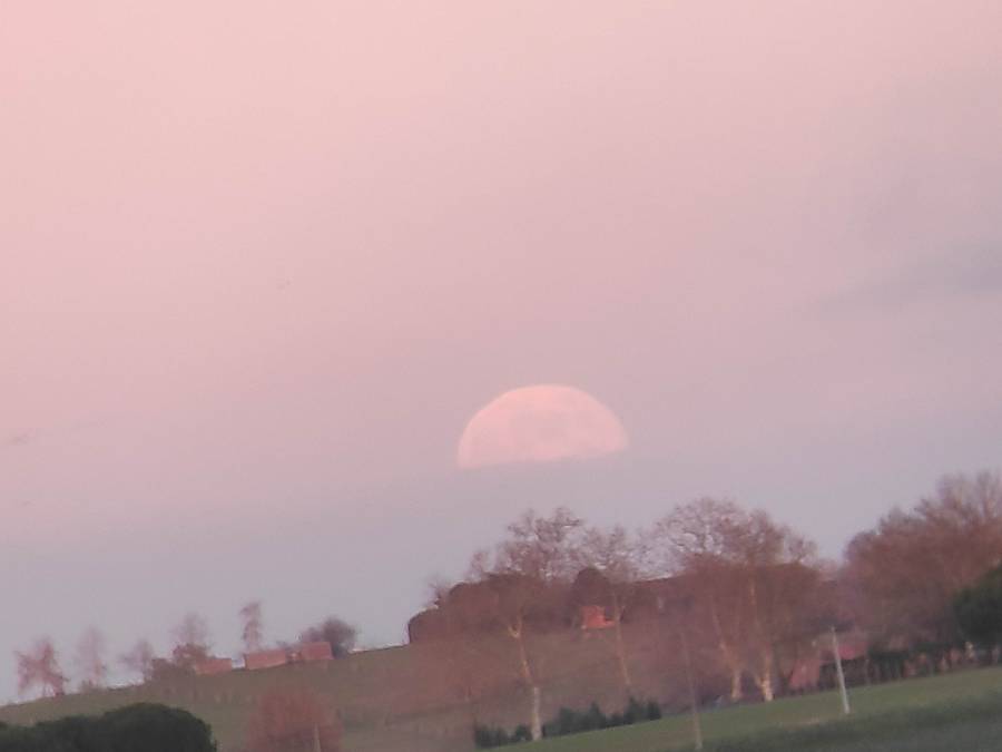 img_20241215_171327.jpg img_20241215_171327.jpg