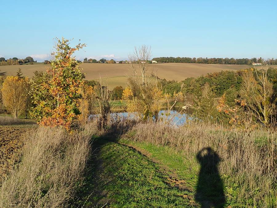 img_20221204_160455.jpg img_20221204_160455.jpg