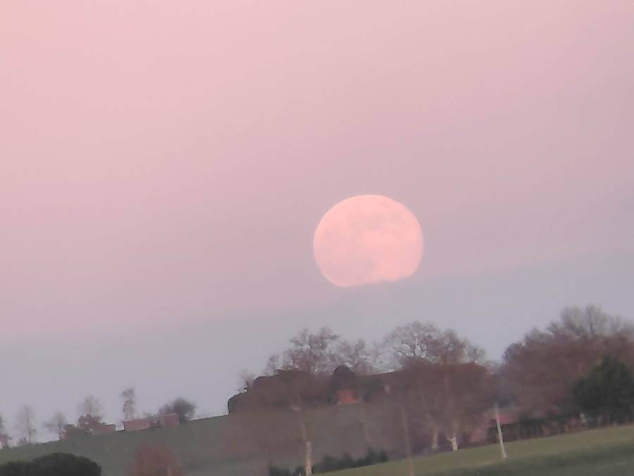 img_20241215_171519.jpg img_20241215_171519.jpg