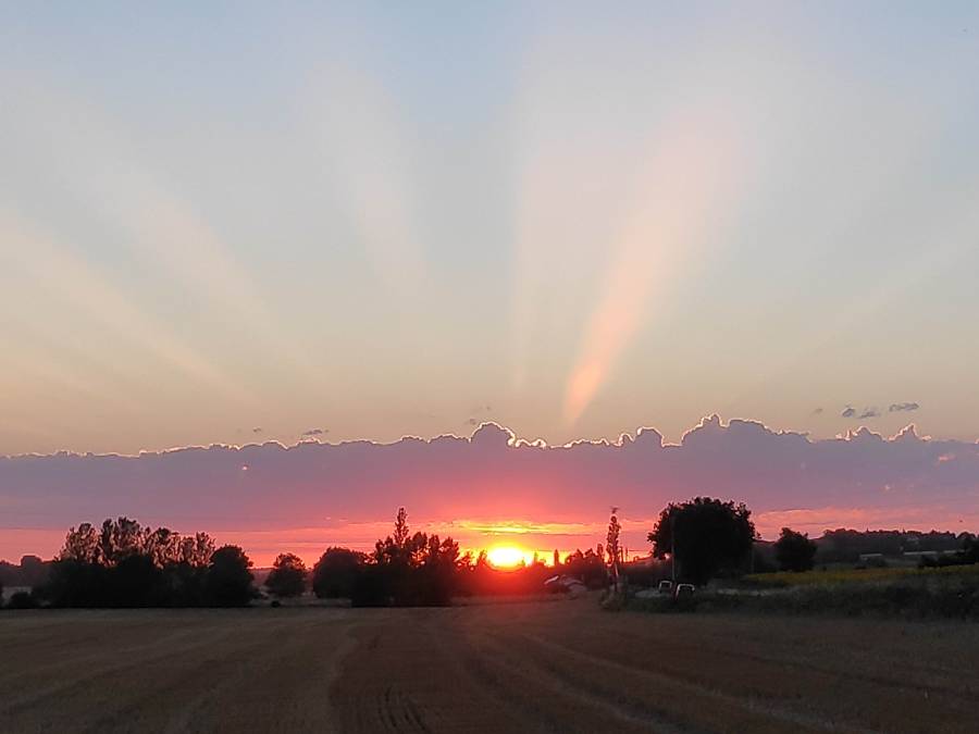 img_20220702_213039.jpg img_20220702_213039.jpg