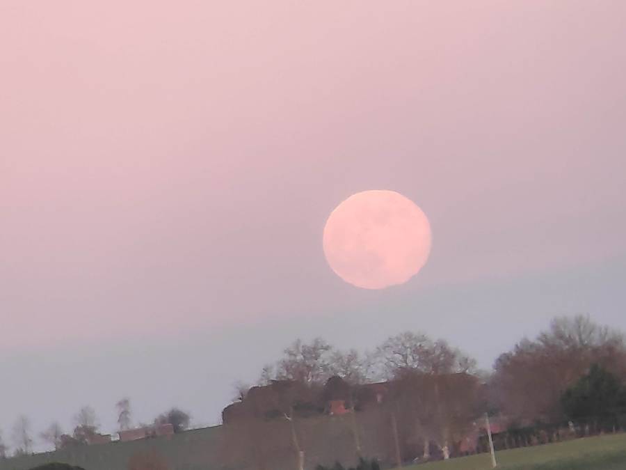 img_20241215_171552.jpg img_20241215_171552.jpg