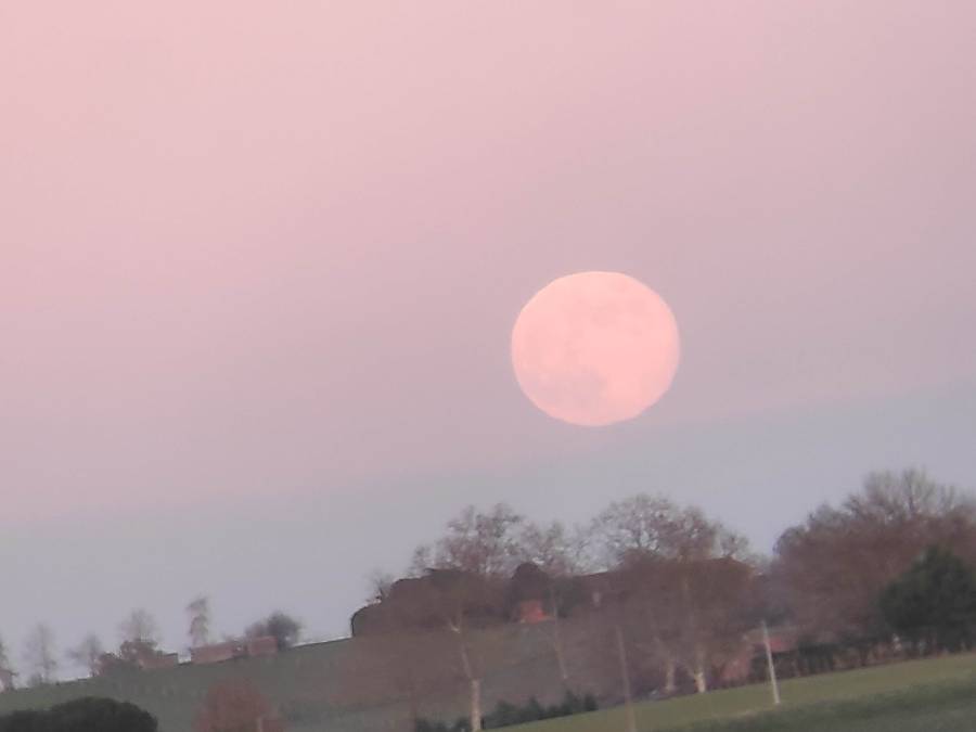 img_20241215_171555.jpg img_20241215_171555.jpg