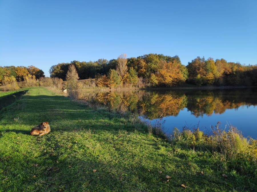 img_20221204_155307.jpg img_20221204_155307.jpg