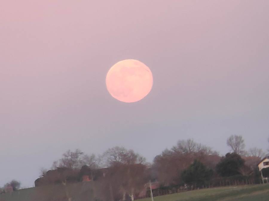 img_20241215_171756.jpg img_20241215_171756.jpg