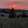 20260812_eclipse_ugo_7567.jpg
