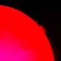 20260806_124449.jpg