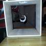 2013-04-19_2.jpg