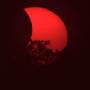 20260812_eclipse_gerard_sun14_coucher_arbres.jpg
