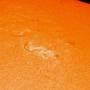 sun_2026-04-05_c.latge_2.jpg