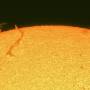 sun_2026-04-05_c.latge_5.jpg